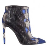 cavalli 2