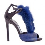 cavalli 3