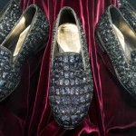 cavalli 5
