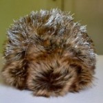 cuddle©trends der zukunft