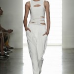cushnie 4