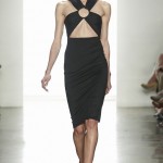 cushnie 5