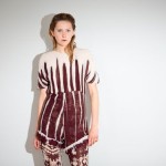 fern 3