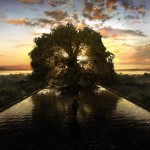 fountain-tree