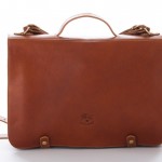 il bisonte 6