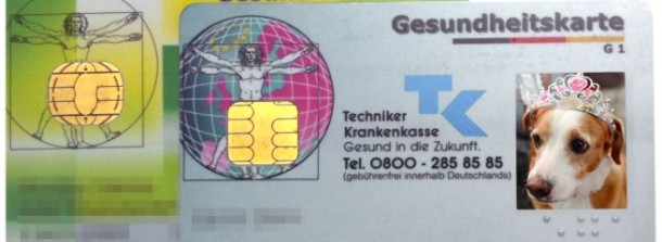 krankenkassenkarte-hund